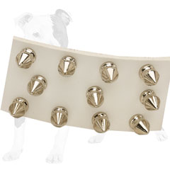 Timeless leather collar with nickel buckle and D-ring