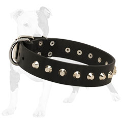 Leather dog collar with hand set studs