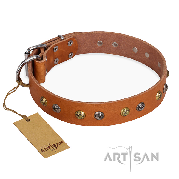 Handy use dog collar with Designer rust resistant studs