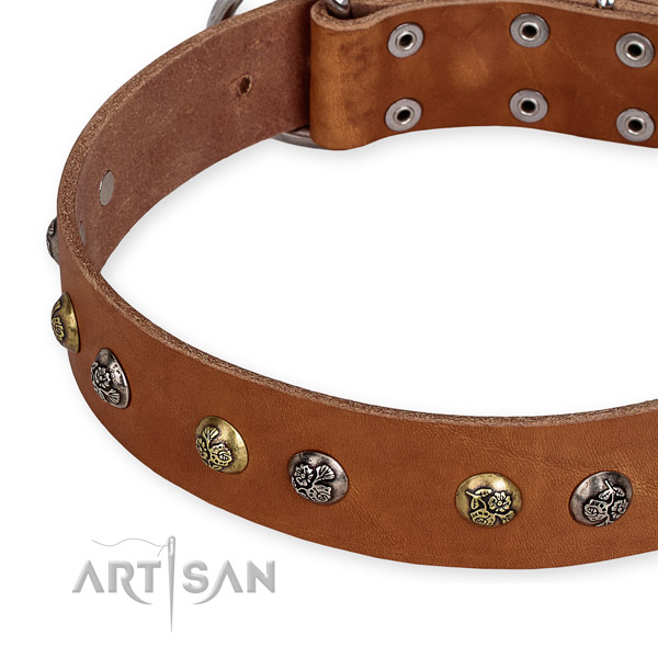 Gentle to touch full grain natural leather dog collar created for comfy wearing