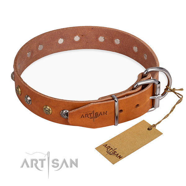 Walking stunning dog collar with reliable traditional buckle