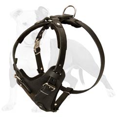 Achieve good results with this leather harness