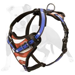 Dog attack training harness