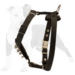 Soft felt padded leather dog harness