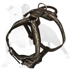 Easy agitation work with this leather dog harness