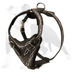 Beautifully designed leather harness