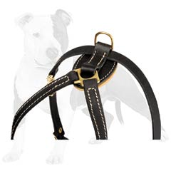 Non-toxic natural materials used for this dog harness