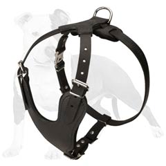 Strong and reliable dog harness