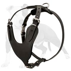 Practical dog training harness