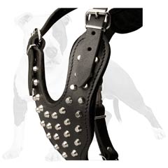 Marvellous dog harness for every day walks