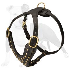 Fantastic dog harness for every day use