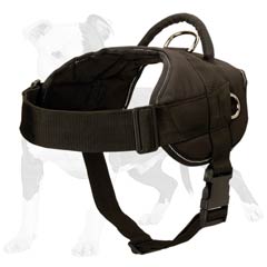 Easy to fit dog harness