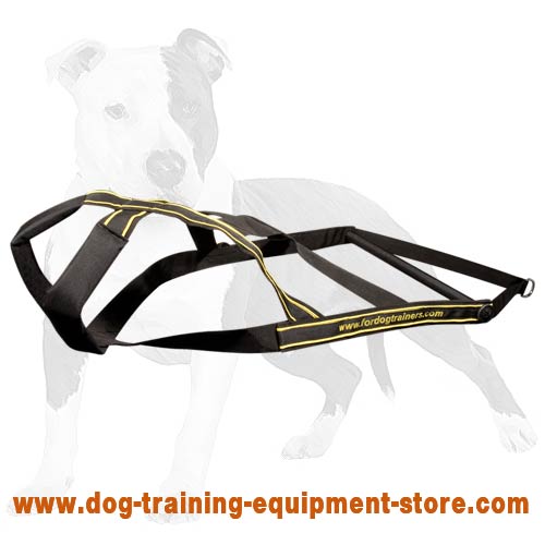 Dog Training Tools Recommended By Professionals