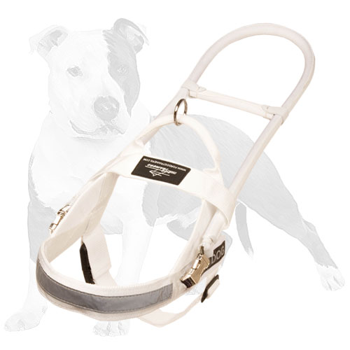 White nylon harness for guide dogs