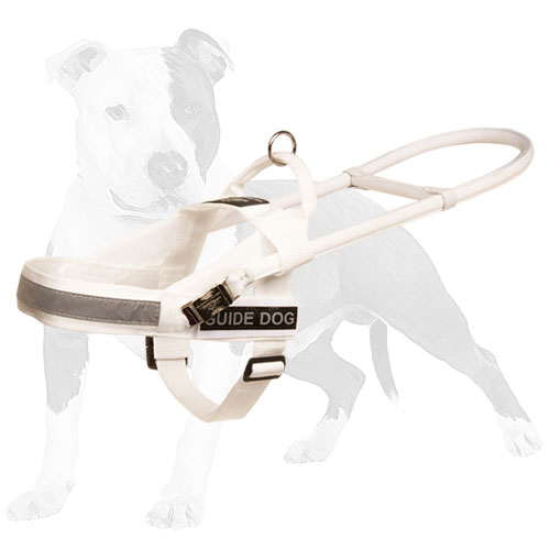 White nylon dog harness for fashionable walking