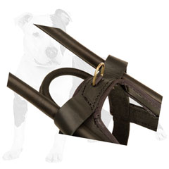 Strong leather dog harness
