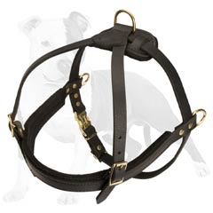 Fantastic design leather dog harness