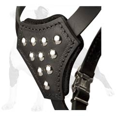 Studded leather dog harness