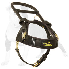 Reliable leather dog harness for guide dogs
