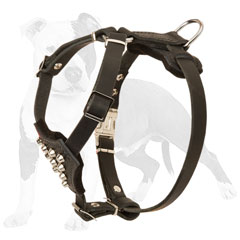 Studded leather dog harness for puppies