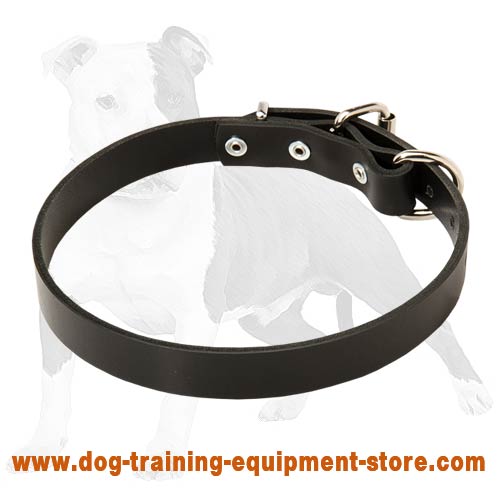 Simple and Absolutely Amazing Leather Dog Collar - Train Your Dog with Pleasure