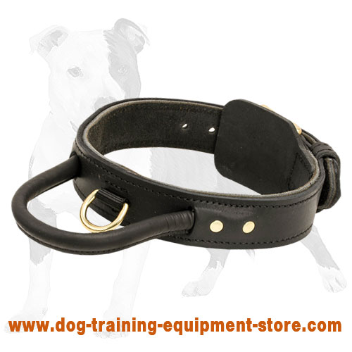 2 ply leather agitation dog collar with handle