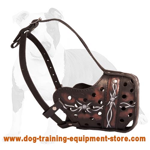 Barbed Wire Painted Agitation Muzzle for Active Dogs