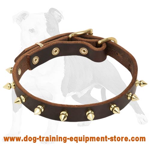 Elegant Leather Dog Collar with Gold Color Spikes for Fashionable Walking