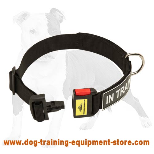 Training Nylon Collar with ID Patches and Easy Quick Release Buckle - Enjoy Comfort and Save Time