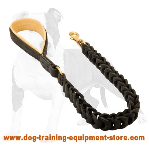 Beautiful Canine Leash for Walking and Training Your Dog