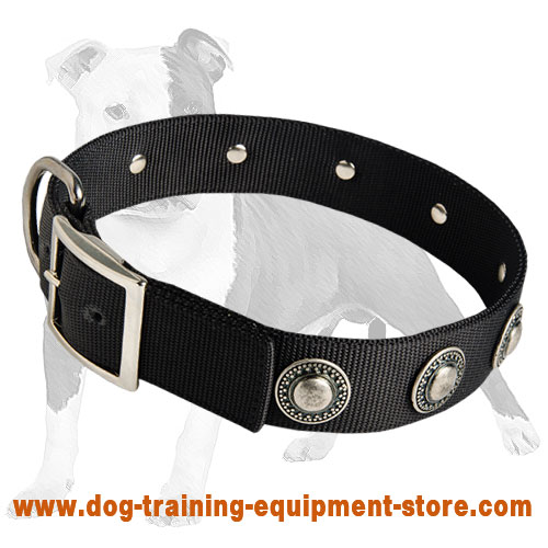 Gorgeous and Functional Nylon Dog Collar with Decorative Stones