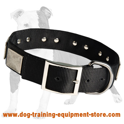High Quality Nylon Dog Collar with Large Vintage Plates for Training and Walking with Style
