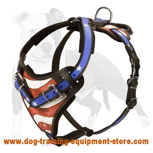 Leather Agitation Harness for the USA Patriots - Your Dog's Beauty and Safety