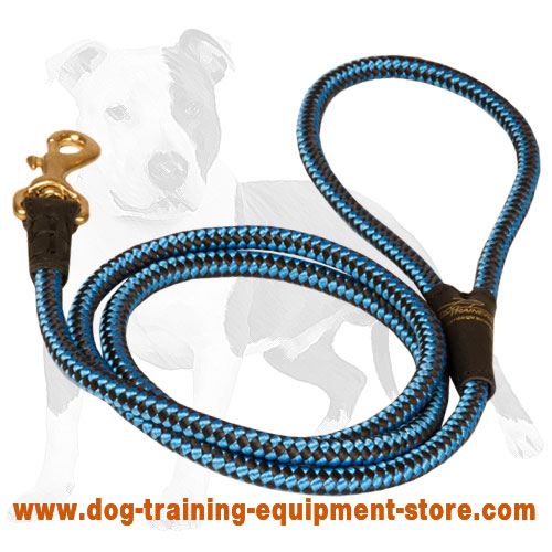 Cord nylon dog leash for easy walking