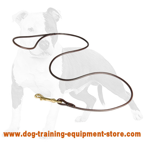 Show Round Leather Dog Leash