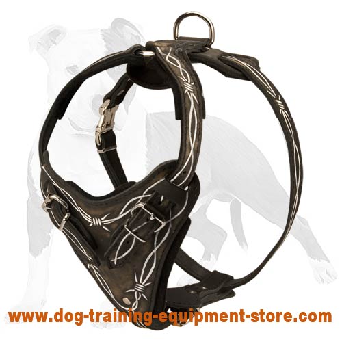 Your Best Assistant in Agitation Work - Safe and Comfortable Leather Dog Harness