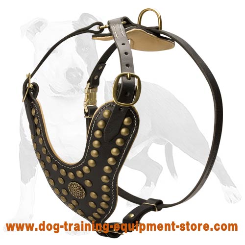 Gorgeous Dog Harness with Studs for Walking Training and Pleasant Exercising