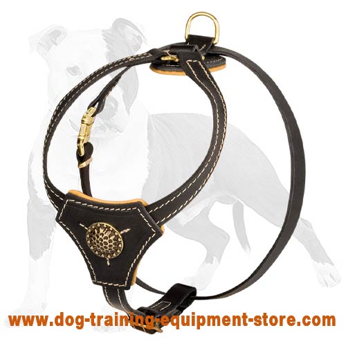 Fantastic Leather Dog Harness for Healthy Puppy Development