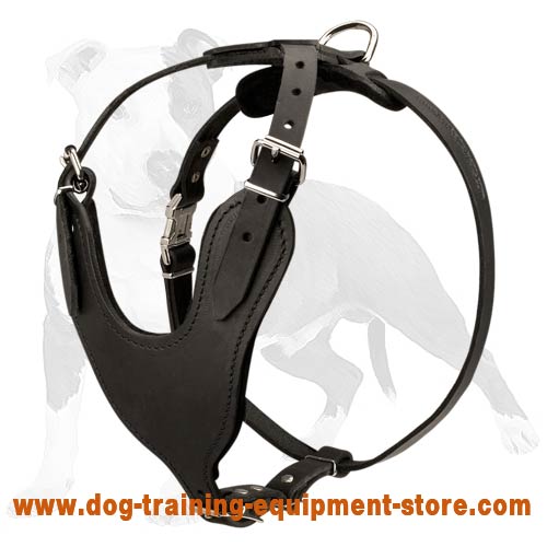Comfortable for Active Behavior Leather Dog Harness