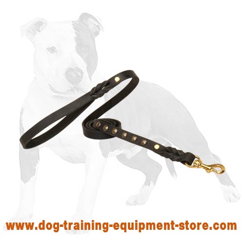 Matchless Leather Dog Leash with 6 Decorative Studs & Plaited Inserts - Click Image to Close