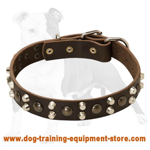 Dog Training Leather Collar with Absolutely Amazing Silvery Pyramids and Goldish Half-Ball Studs