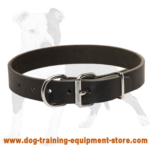 Budget Friendly Leather Dog Collar