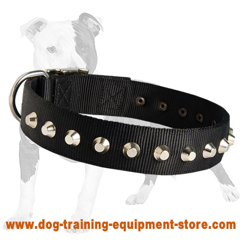 Any Weather and Season Nylon Dog Collar for Multitasking Use