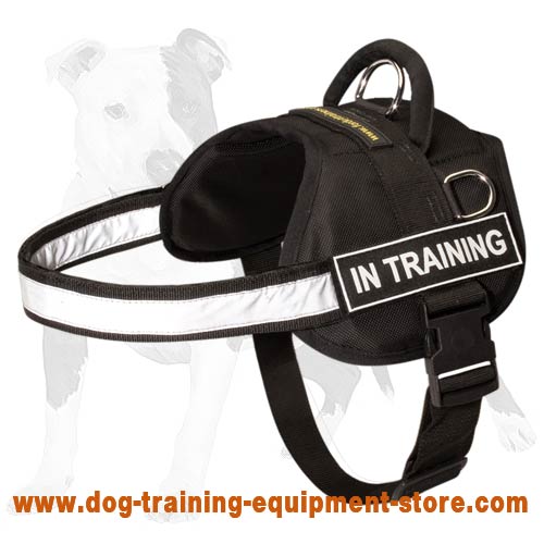 Water Resistant Nylon Harness with Reflective Trim