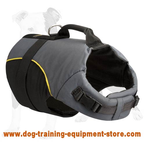 Best Any Weather Rehabilitation Harness for Your Dog