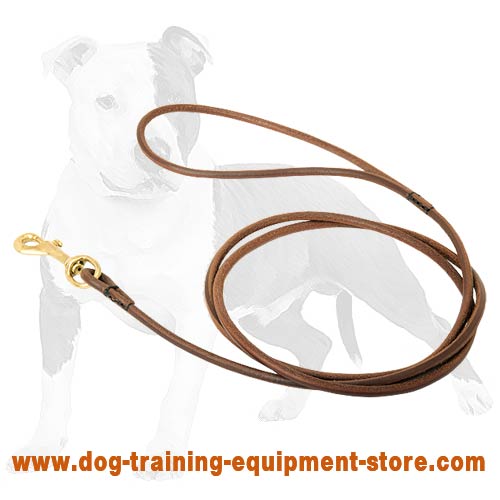 Convenient and Elegant Leather Canine Lead for Dog Shows