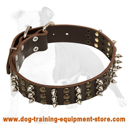 Fabulous Leather Collar to Train & Walk Your Dog in Luxury Style