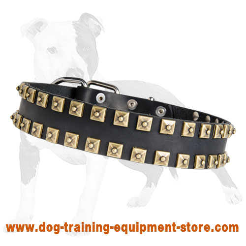 Fashion Exclusive Design - "Caterpillar" Leather Dog Collar