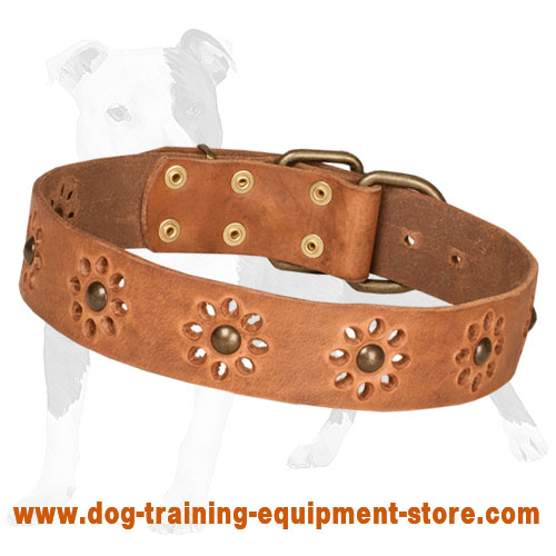 Walking Tan Leather Dog Collar with Punched Flowers
