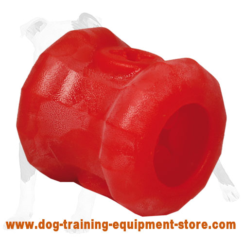 https://www.dog-training-equipment-store.com/images/large/Foam-food-dog-dispenser-for-healthy-meal-TT29_LRG.jpg